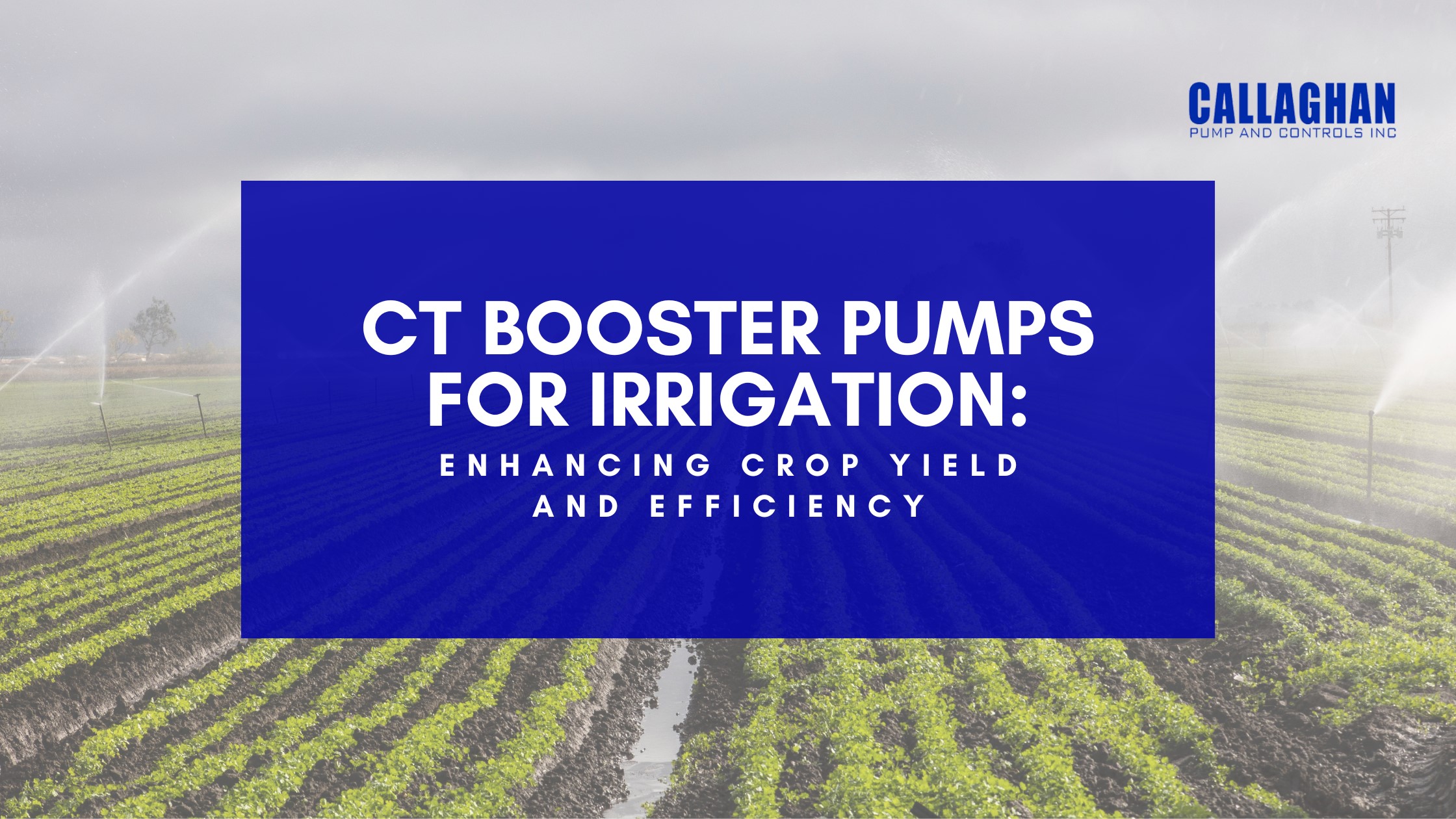 CT Booster Pumps for Irrigation
